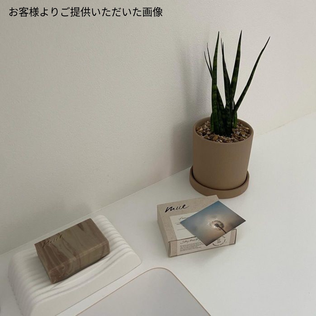 Qporソープディッシュ1